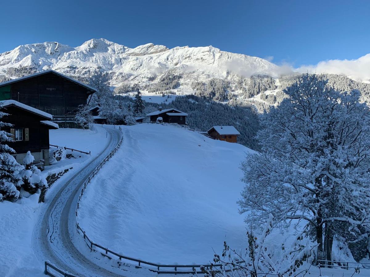 Chalet Schiltwald Innerwengen Luaran gambar