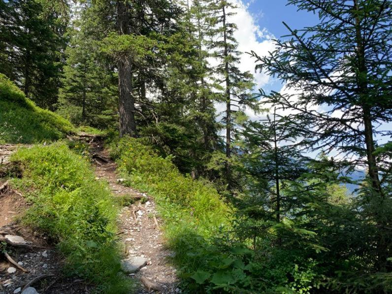 Chalet Schiltwald Innerwengen Luaran gambar