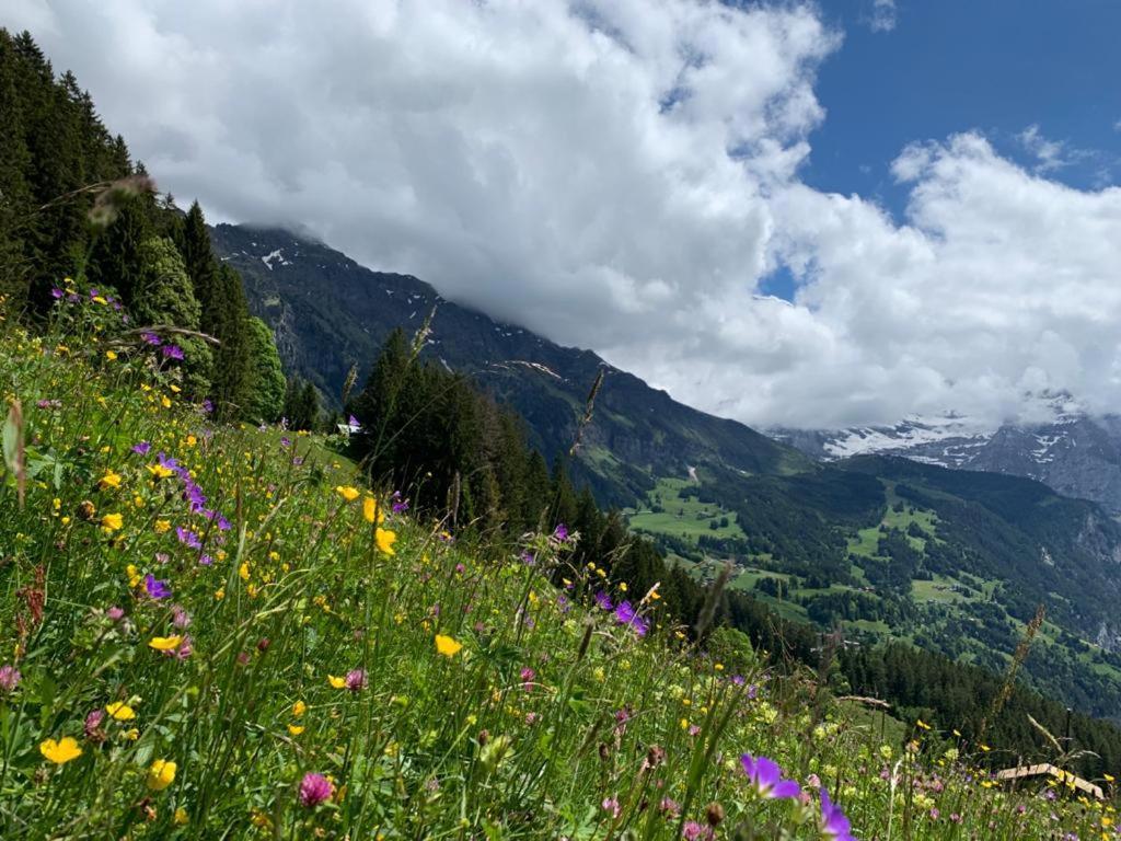 Chalet Schiltwald Innerwengen Luaran gambar