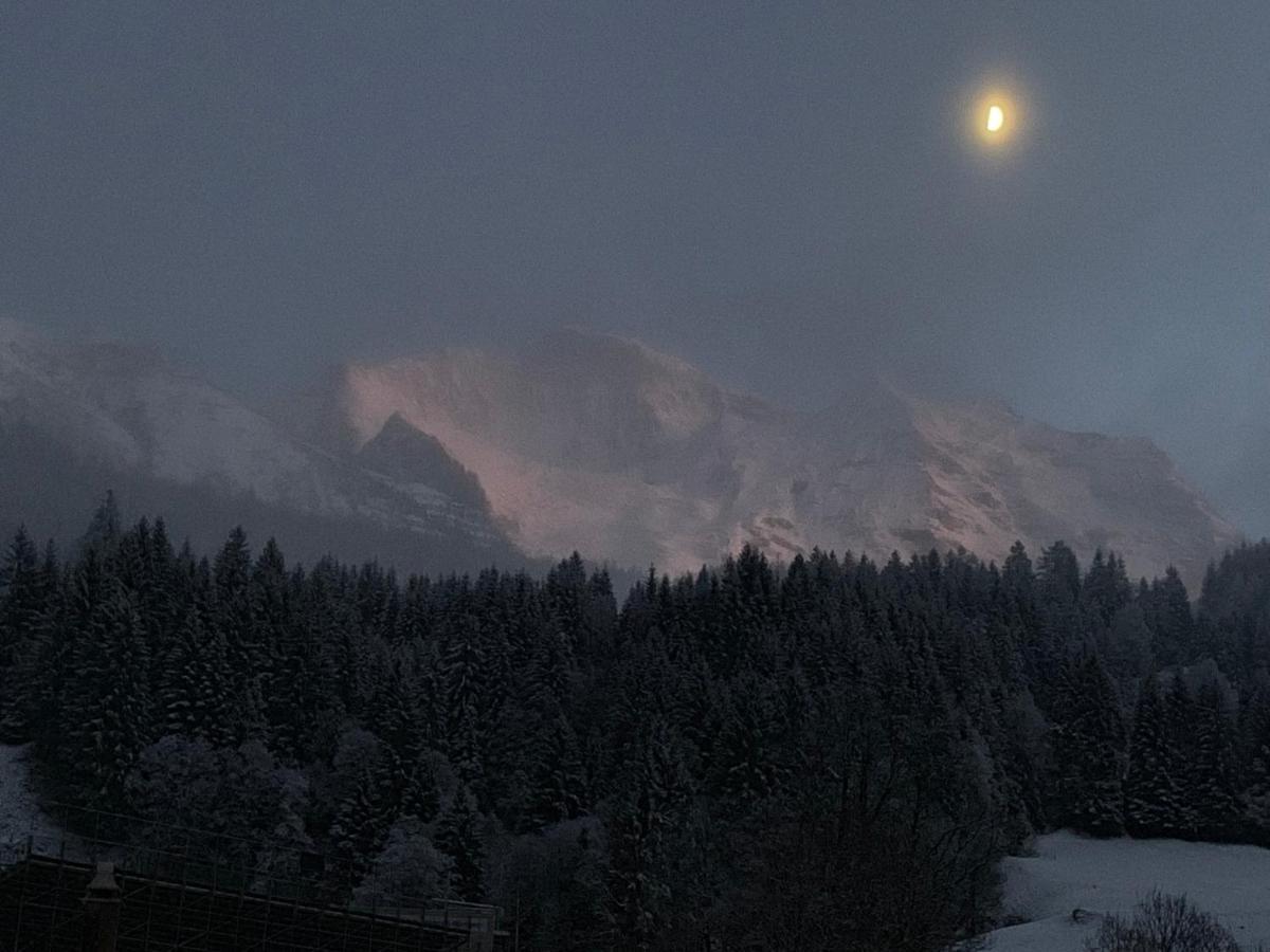 Chalet Schiltwald Innerwengen Luaran gambar