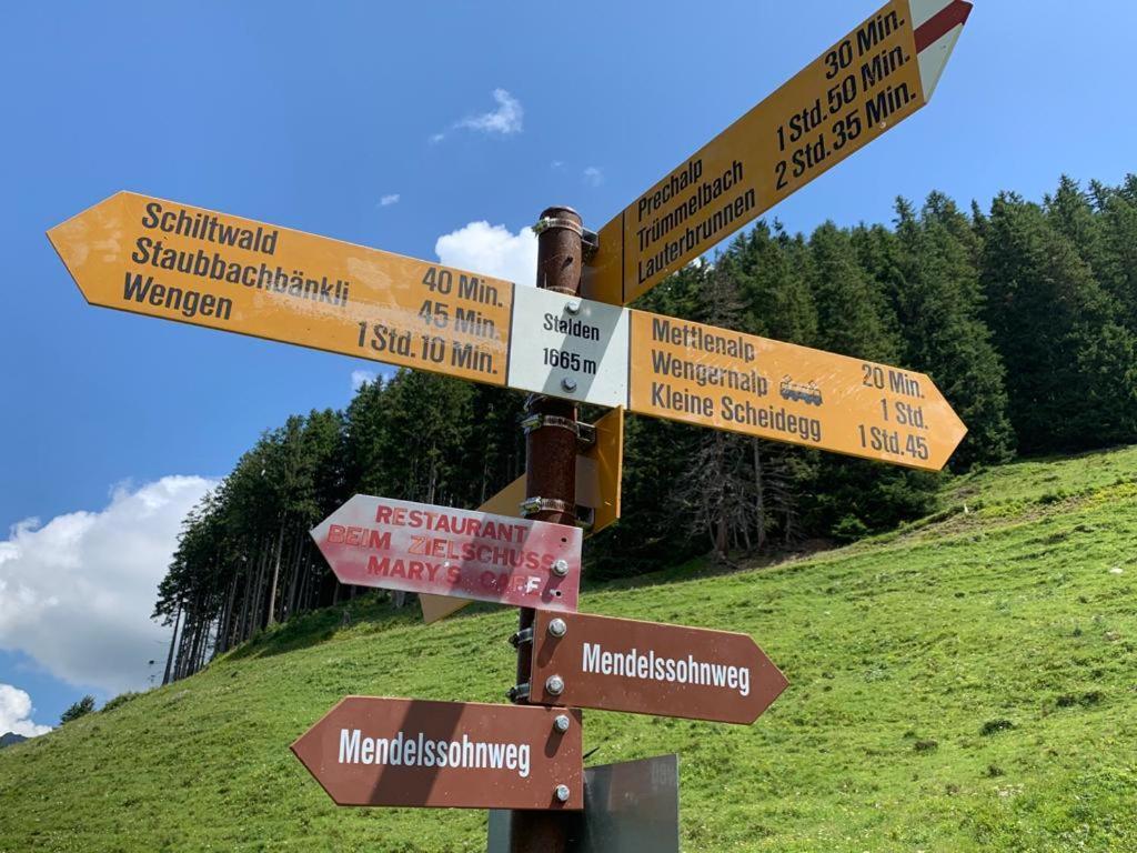 Chalet Schiltwald Innerwengen Luaran gambar
