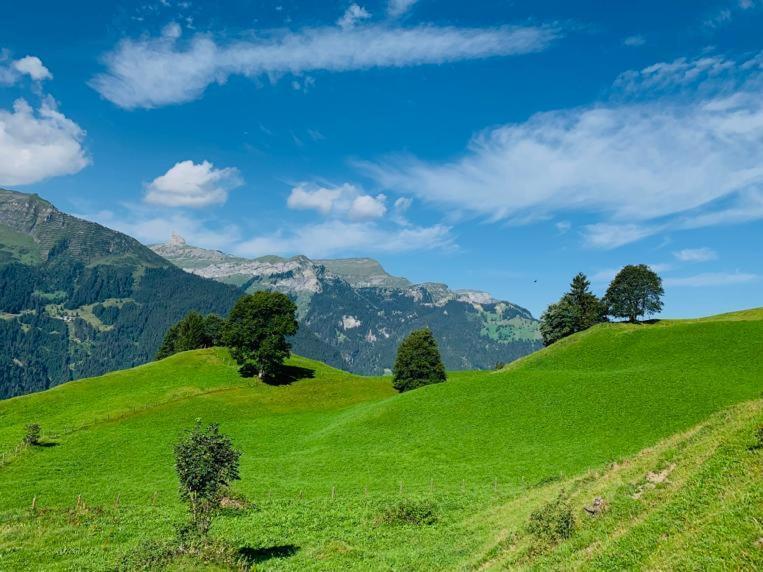 Chalet Schiltwald Innerwengen Luaran gambar