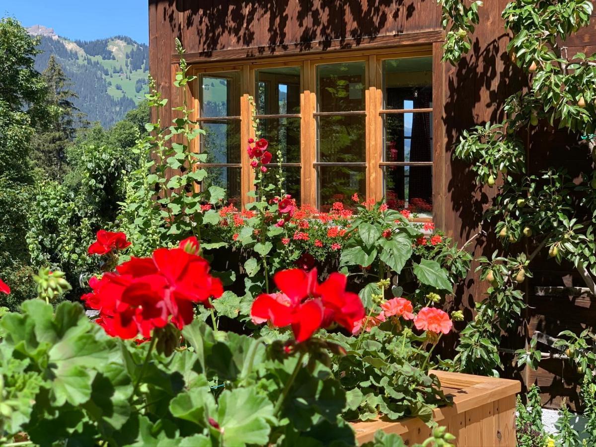 Chalet Schiltwald Innerwengen Luaran gambar