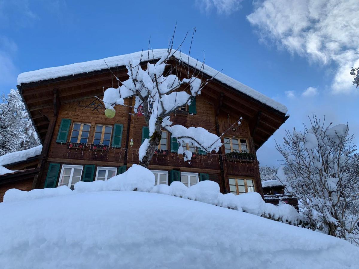 Chalet Schiltwald Innerwengen Luaran gambar