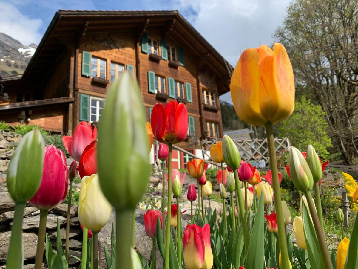 Chalet Schiltwald Innerwengen Luaran gambar
